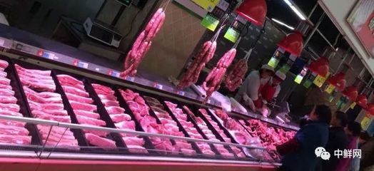 珍藏篇!豬肉分割詳細圖解,助力肉品銷售飛上天!