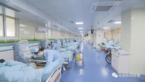 安徽開展省屬公立醫療機構部分常用藥及第二批抗癌藥集中帶量采購議價政策解讀
